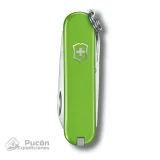 Navaja  Classic Sd Smashed Avocado