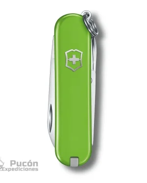 Navaja  Classic Sd Smashed Avocado