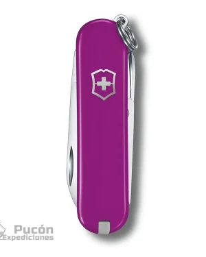 Navaja Classic SD Tasty Grape