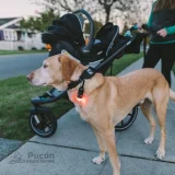 Colgador Camp Carabiner Light Kit