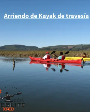 Arriendo Kayak de travesía Single