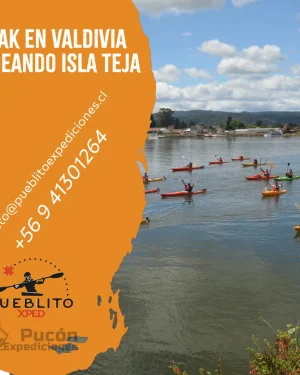 Travesía en kayak isla teja Valdivia