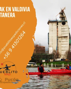 Travesía en kayak Costanera Valdivia