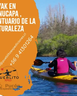 Travesia en Kayak Punucapa