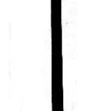 Remo SUP Whole Carbon Paddle