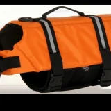 Salvavidas Perro Dog Life